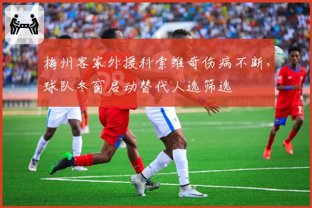 梅州客家外援科索维奇伤病不断,球队冬窗启动替代人选筛选