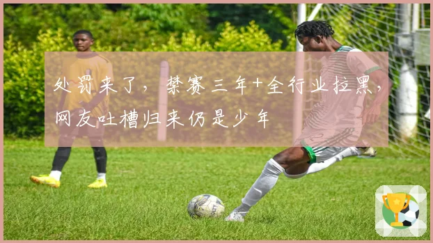 处罚来了,禁赛三年+全行业拉黑,网友吐槽归来仍是少年