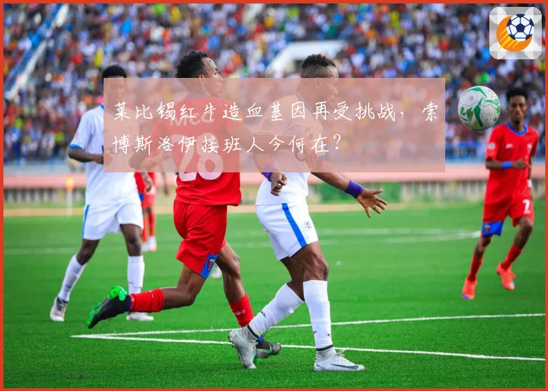莱比锡红牛造血基因再受挑战，索博斯洛伊接班人今何在？